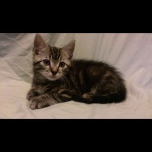 Meet your Posher, Kayka